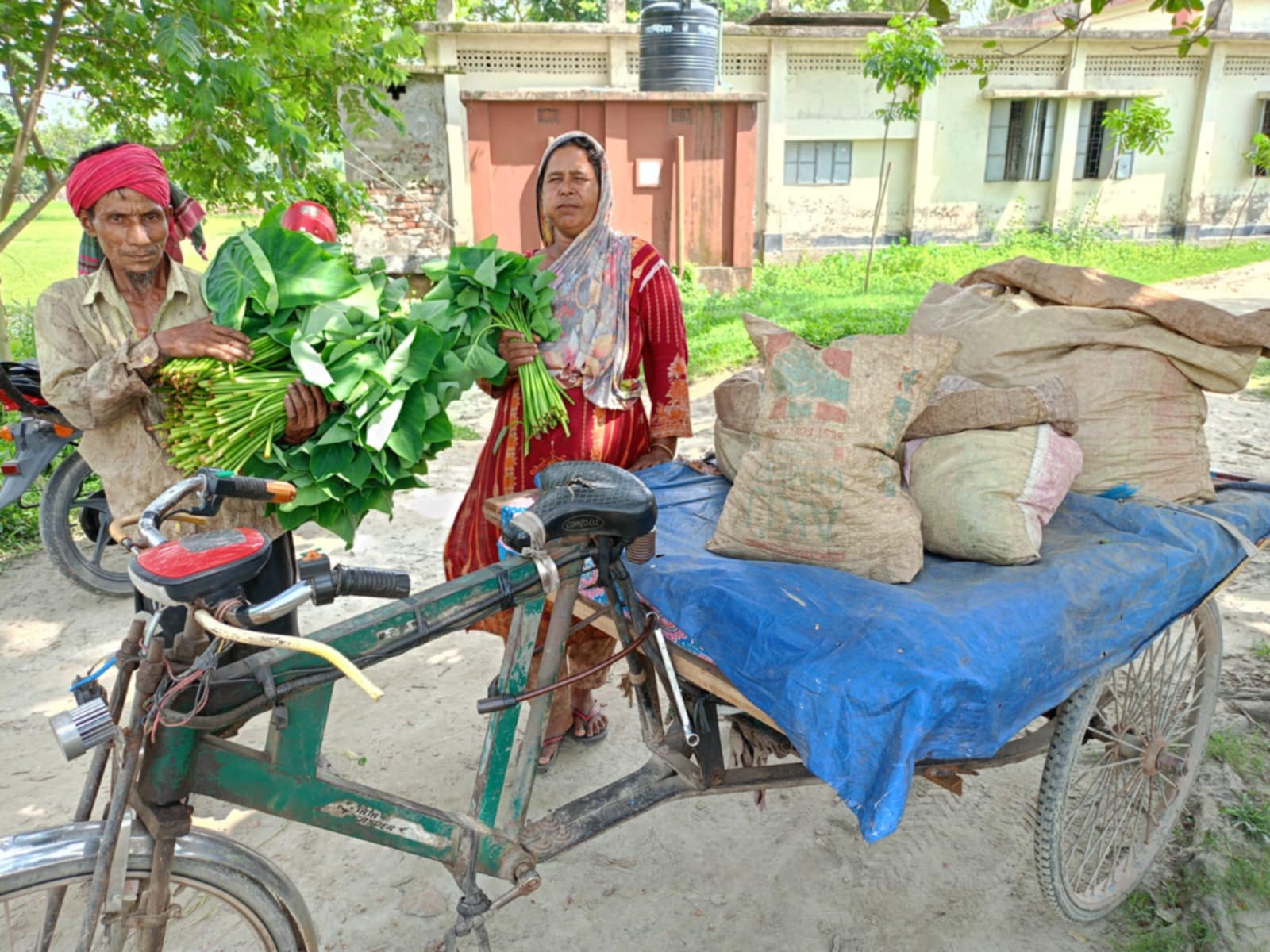 সিংগাইরের কচুশাক বিক্রি করে সাবলম্বী লালমনিরহাটের আনিছুর দম্পতি